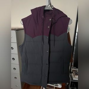 Patagonia Bivy Hooded Down Vest